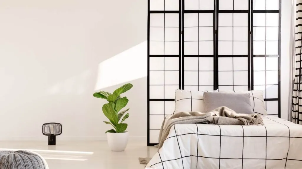 Paint Color Black and White
