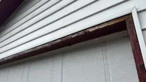 Trim Painting