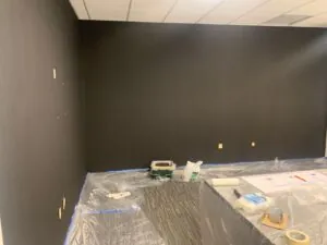 flat paint or satin paint
